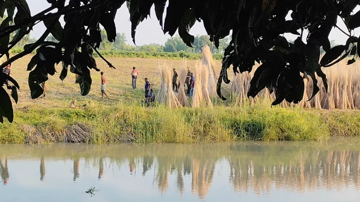 মুহুর্মুহু বিস্ফোরণ, আতঙ্ক—মেহেরপুরে উদ্ধার ৯৬টি মাইন যেভাবে ধ্বংস করা হলো