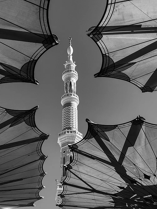 pexels-ravishm-19538465